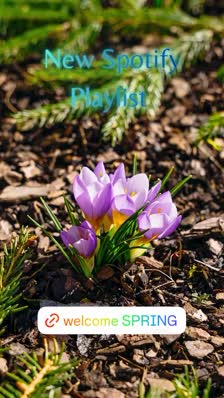 9bc11feb14414f62af439fb8676b9e8c